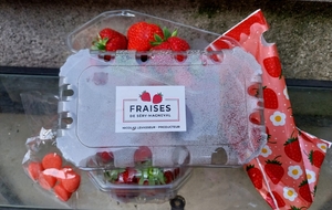 Tir à la fraise à Haramont