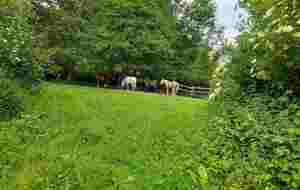 Gaffe...ce ne sont pas des cibles 3D!!!!