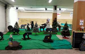 Les animaux dans la forêt