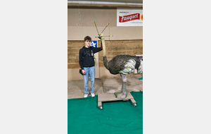 Léo et sa Paontruche