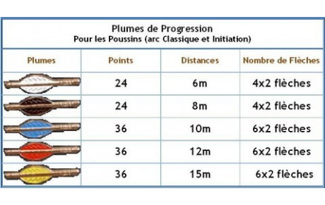 Passages de flèches du 11 novembre 2015