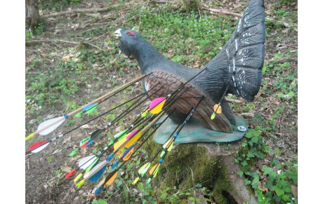 3 D Villers Bretonneux