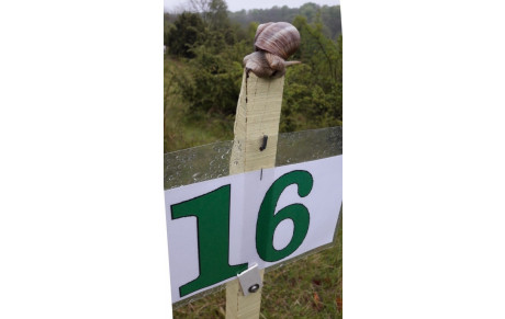 Tir nature, Vivières 2017