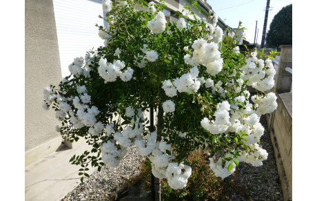 Championnats de l'Aisne Beursault 2017