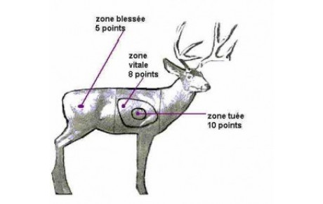 3 D Vivières 25 juin 2017