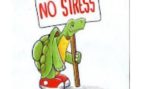 Passages de flèches du 11 novembre 2017