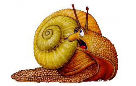 Tir Campagne Nanteuil les Haudouins