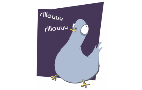 Tir de l'abat l'oiseau 2018 SQTA