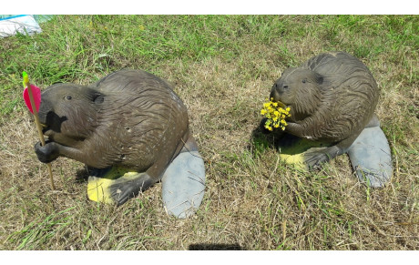 3D Villers Bretonneux