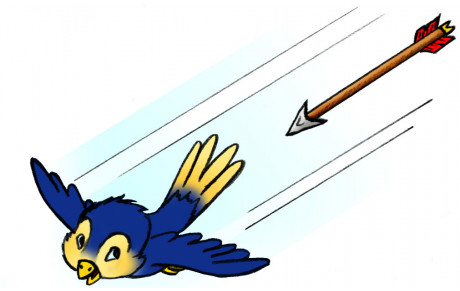 tir à l'oiseau SQTA 2019