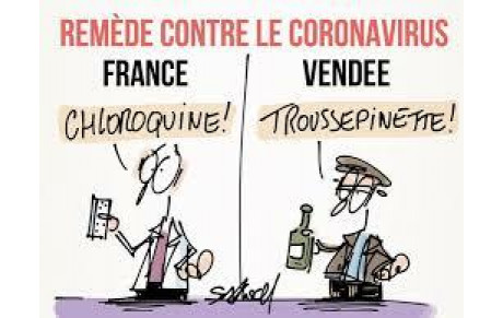 Information reprise activité tir à l'arc