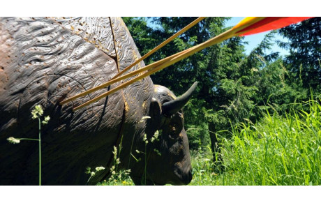 Séance 3D samedi aprés_midi