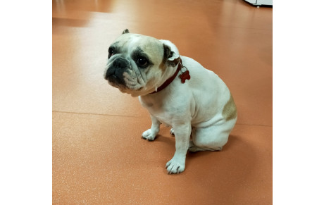 Tir en salle 18m SQTA