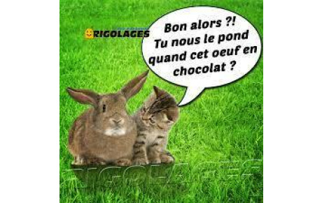 Tir au chocolat