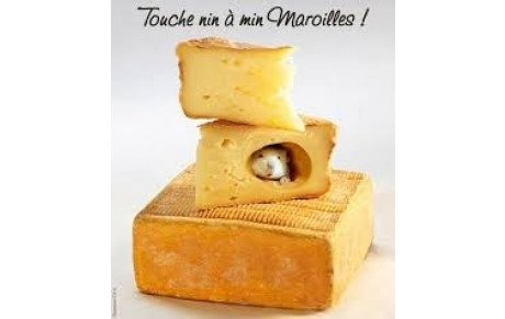 Maroilloton 2024 initiation