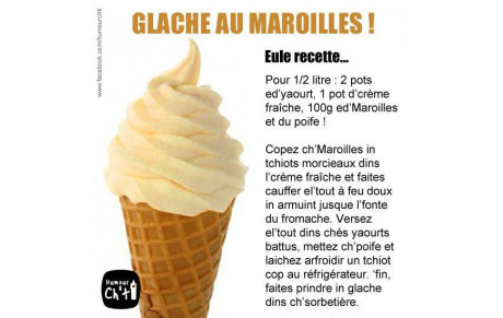 Le Maroilles pour l'initiation SQTA